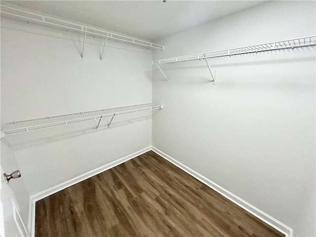 walk in closet with hardwood / wood-style floors