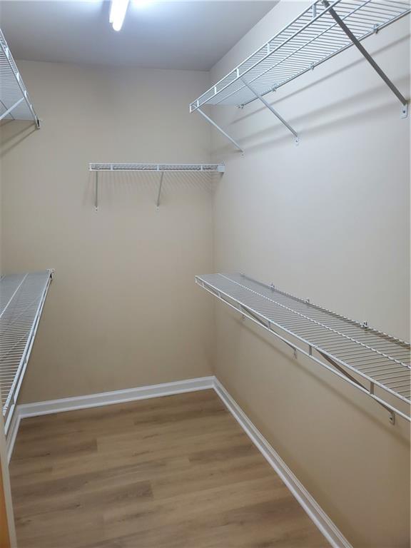 spacious closet featuring light wood-type flooring