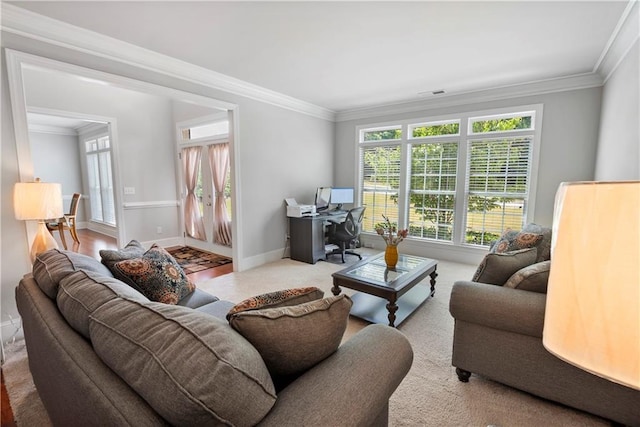 living room featuring crown molding