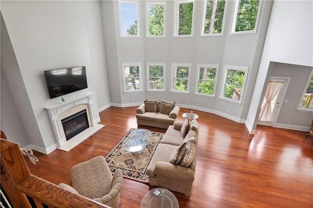 living room featuring hardwood / wood-style flooring and a high ceiling