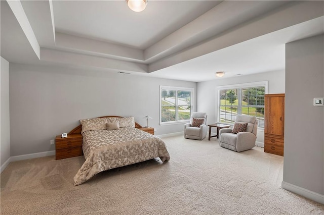 bedroom with carpet floors and a raised ceiling