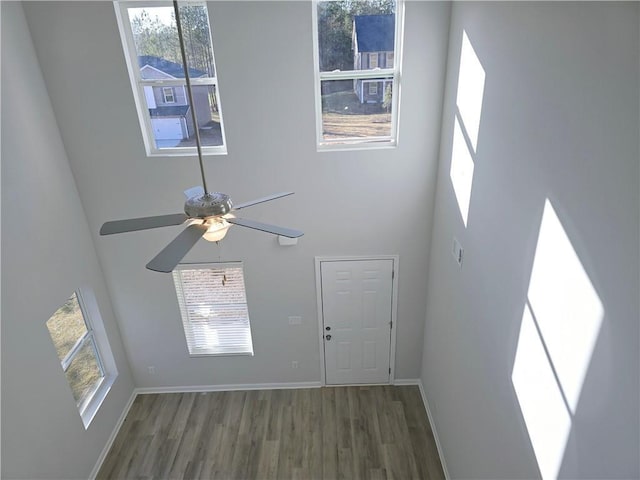 foyer featuring dark wood-type flooring, ceiling fan, a healthy amount of sunlight, and a high ceiling