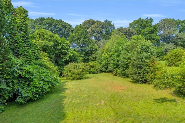 6440 Narramore Way, Lula, GA 30554 - view of yard