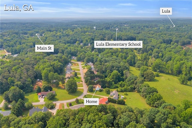 6440 Narramore Way, Lula, GA 30554 - bird's eye view of a heavily wooded area