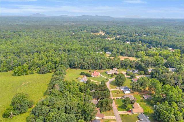 6440 Narramore Way, Lula, GA 30554 - view of property location featuring a forest and a mountain backdrop