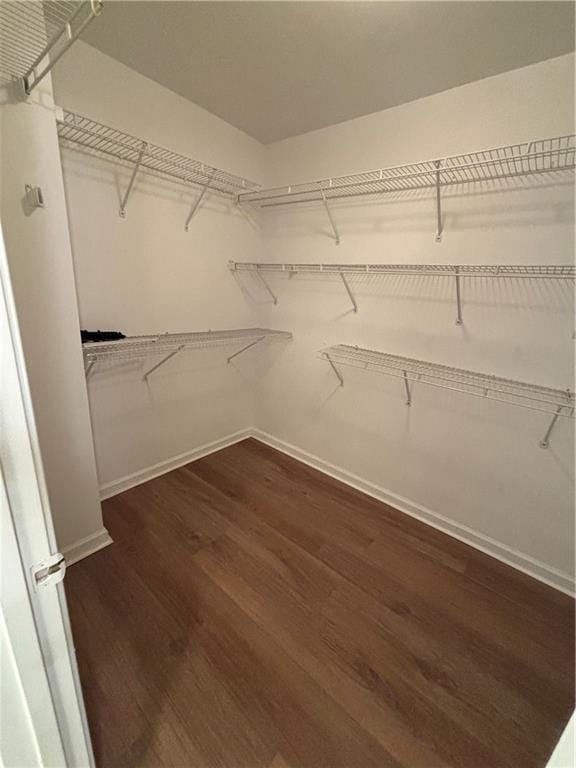 spacious closet with dark wood-style floors