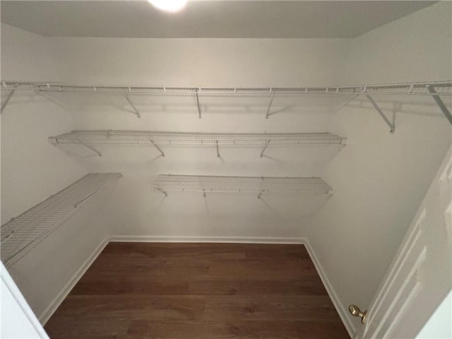 spacious closet with wood finished floors