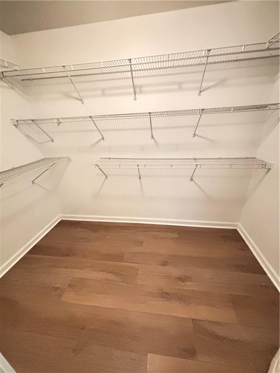 spacious closet with dark wood finished floors