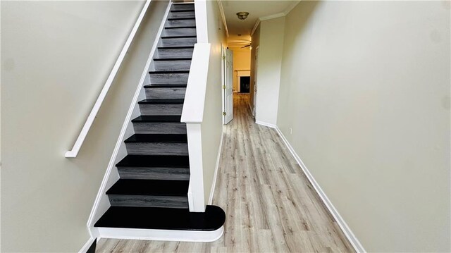 stairway with hardwood / wood-style floors