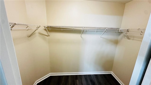 walk in closet featuring dark wood-type flooring