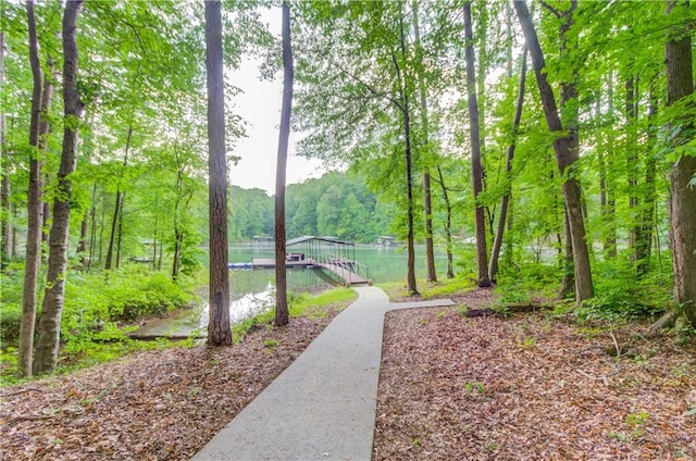 surrounding community with a dock
