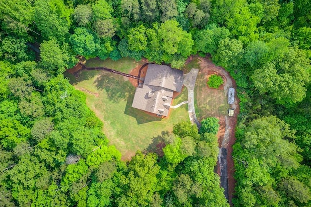 bird's eye view