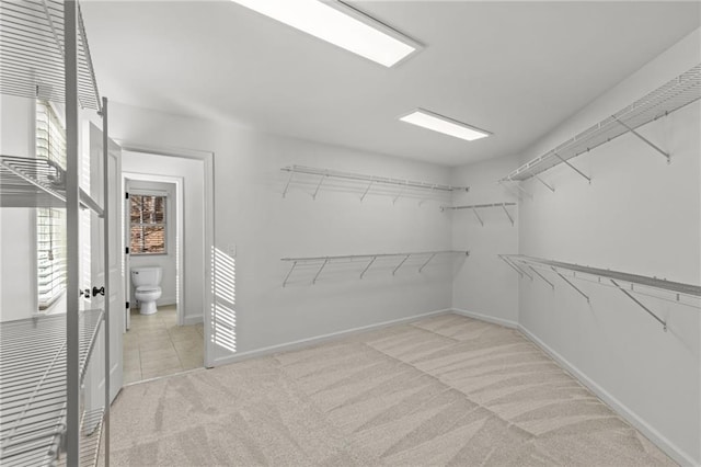 walk in closet featuring light colored carpet