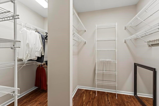 spacious closet featuring dark hardwood / wood-style floors