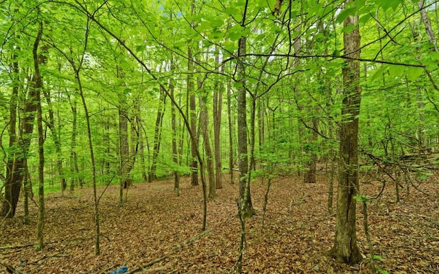 0 Honey Tree Ter, Dahlonega, GA 30533