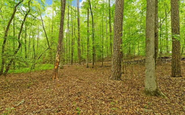 0 Honey Tree Ter, Dahlonega, GA 30533