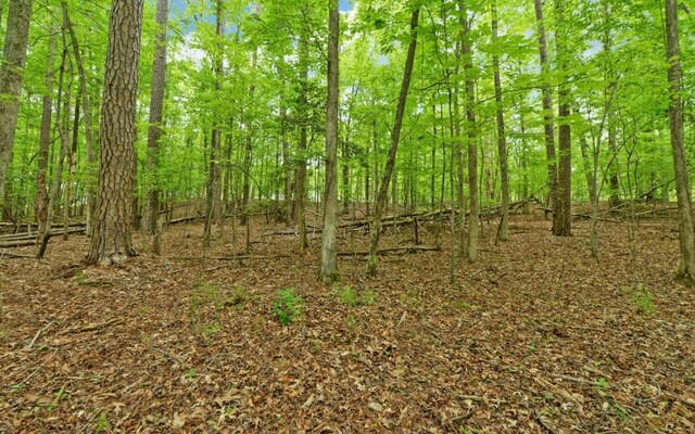 0 Honey Tree Ter, Dahlonega, GA 30533