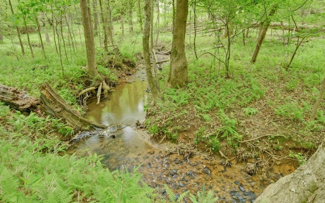 0 Honey Tree Ter, Dahlonega, GA 30533