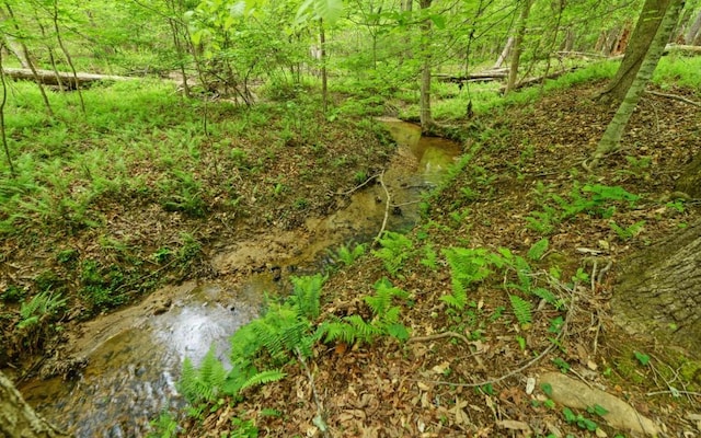 0 Honey Tree Ter, Dahlonega, GA 30533