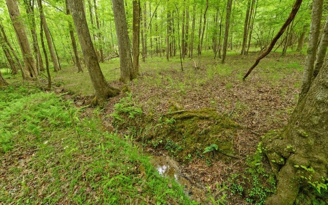 0 Honey Tree Ter, Dahlonega, GA 30533