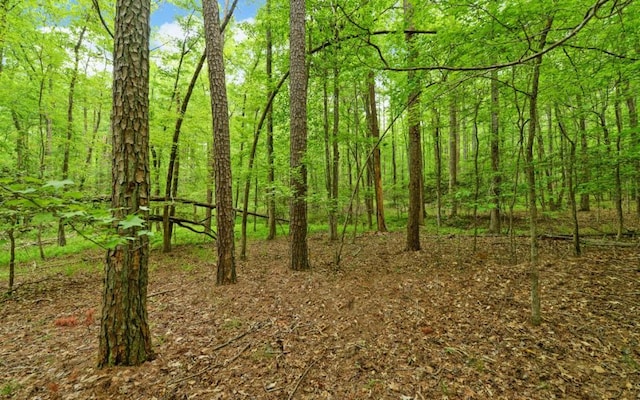 0 Honey Tree Ter, Dahlonega, GA 30533
