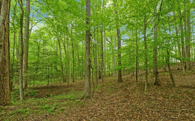0 Honey Tree Ter, Dahlonega, GA 30533