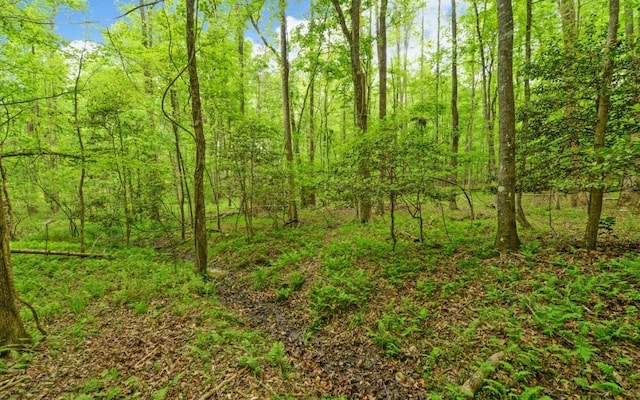 0 Honey Tree Ter, Dahlonega, GA 30533