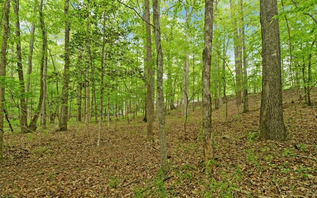 0 Honey Tree Ter, Dahlonega, GA 30533
