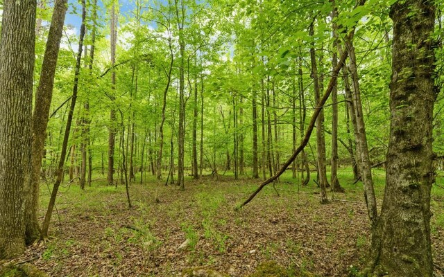 0 Honey Tree Ter, Dahlonega, GA 30533