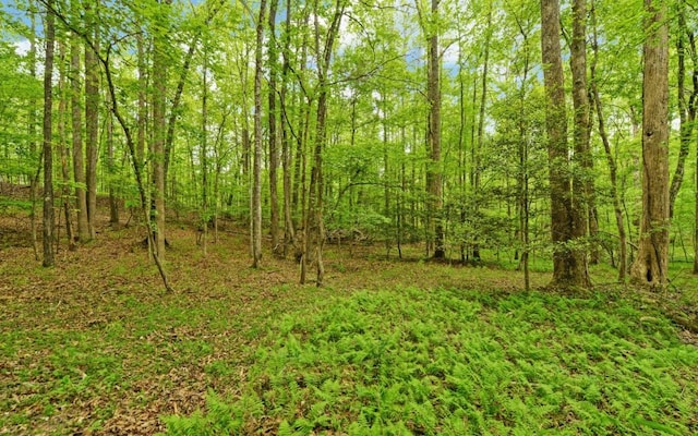 0 Honey Tree Ter, Dahlonega, GA 30533
