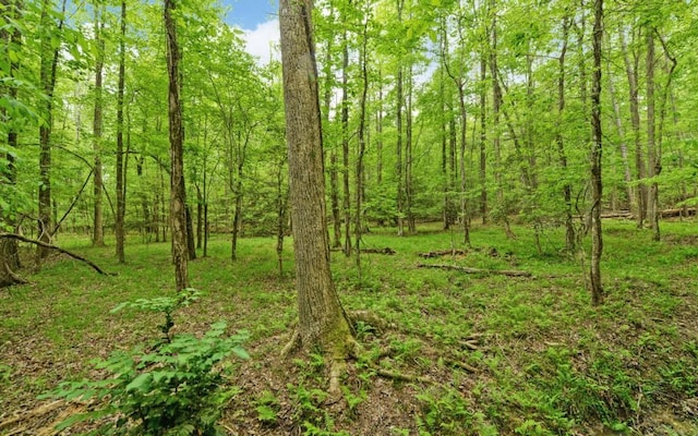 0 Honey Tree Ter, Dahlonega, GA 30533