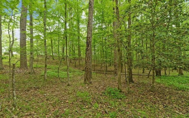 0 Honey Tree Ter, Dahlonega, GA 30533