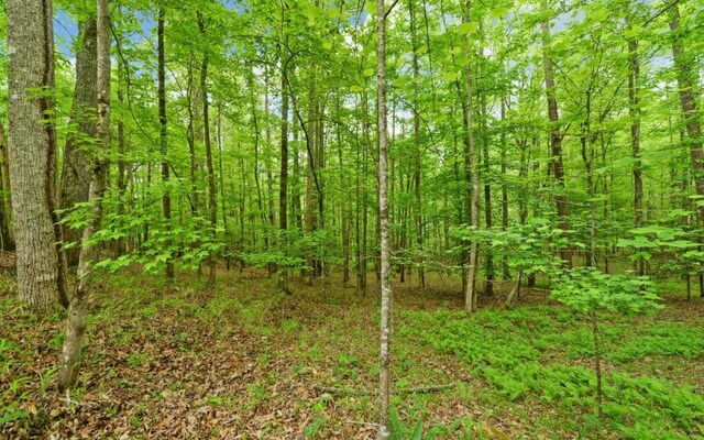 0 Honey Tree Ter, Dahlonega, GA 30533