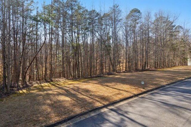 0 Honey Tree Ter, Dahlonega, GA 30533