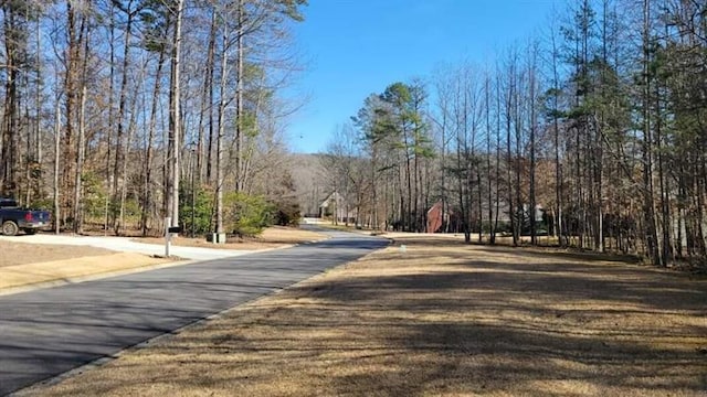 0 Honey Tree Ter, Dahlonega, GA 30533