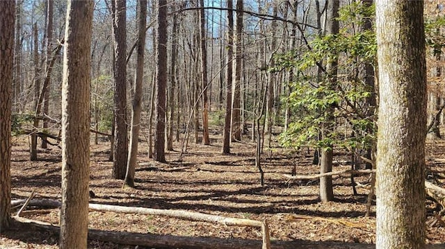 0 Honey Tree Ter, Dahlonega, GA 30533