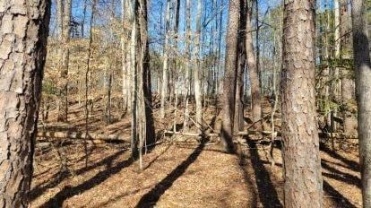 0 Honey Tree Ter, Dahlonega, GA 30533