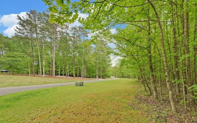 0 Honey Tree Ter, Dahlonega, GA 30533