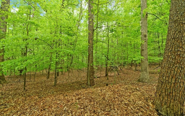 0 Honey Tree Ter, Dahlonega, GA 30533