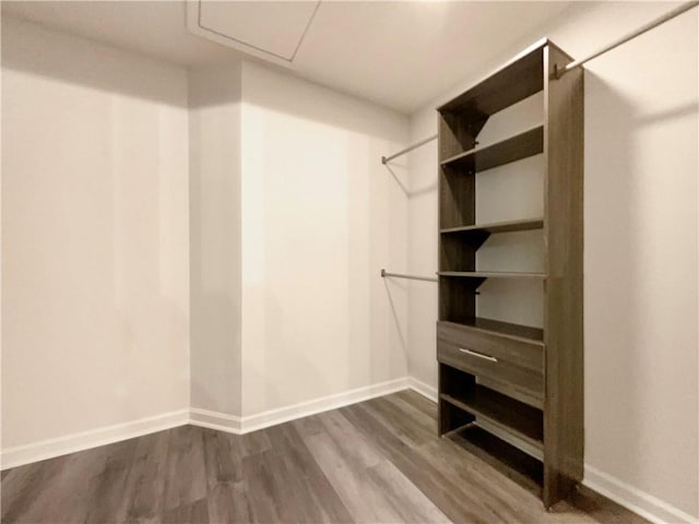 6001 Deer Springs Ln NW, Acworth, GA 30101 - spacious closet with dark wood-style floors