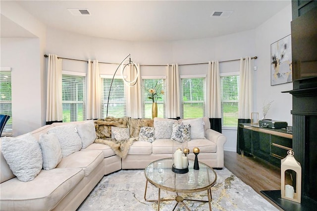 living room featuring light hardwood / wood-style floors