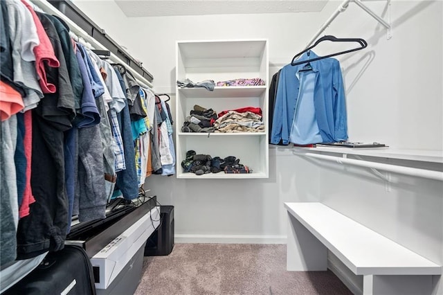 7060 Steel Wood Dr NW, Kennesaw, GA 30152 - spacious closet with carpet flooring
