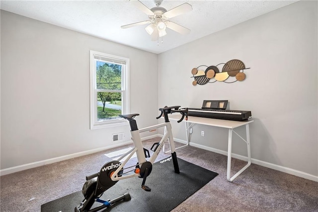 7060 Steel Wood Dr NW, Kennesaw, GA 30152 - exercise area with carpet, ceiling fan, and baseboards