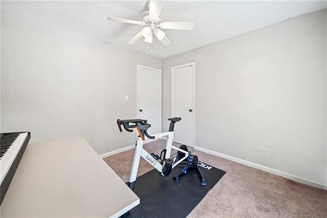 7060 Steel Wood Dr NW, Kennesaw, GA 30152 - exercise room with a ceiling fan, baseboards, and carpet flooring