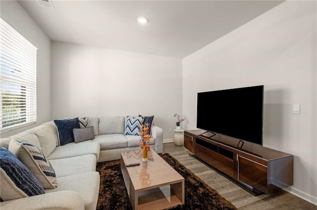 living room with hardwood / wood-style flooring