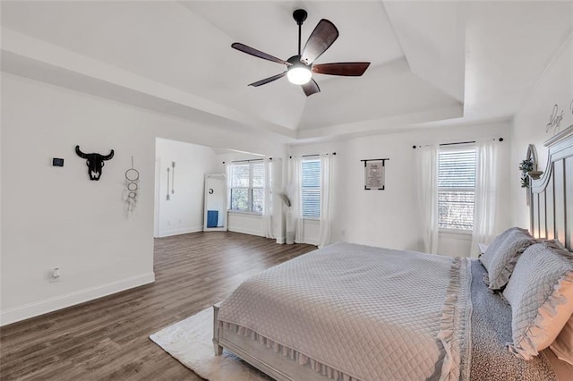 bedroom featuring multiple windows, a tray ceiling, ceiling fan, and dark hardwood / wood-style floors