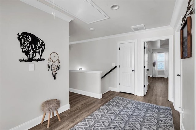 hallway featuring crown molding and dark wood-type flooring