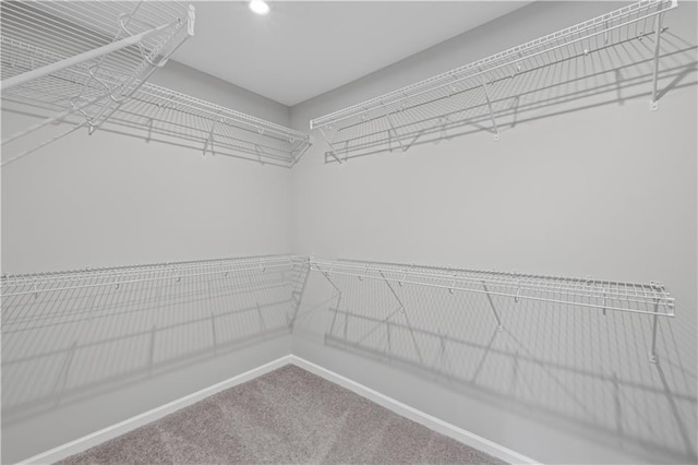 walk in closet featuring carpet