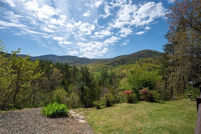 306 Pig Trl, Cherry Log, GA 30522 - mountain view featuring a forest view