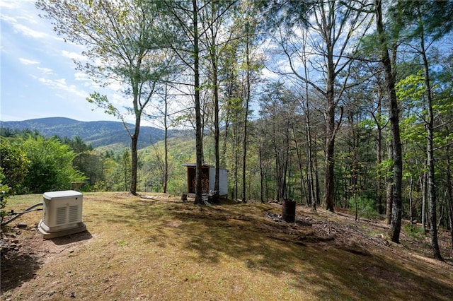 306 Pig Trl, Cherry Log, GA 30522 - view of yard with a forest view and a mountain view
